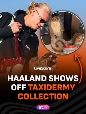 When you didn’t think Haaland could get any funnier 🤣🇳🇴 Man City and Norway striker Erling Haaland showed off his taxidermy collection that he bought in Dallas, Texas following his nation’s elimination from the World Cup.  #haaland #taxidermy #norway #mancity #worldcup 
