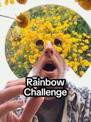 Can I find the colours of the rainbow in my garden using flowers?? Do you like my new mirror mask? #challenge 