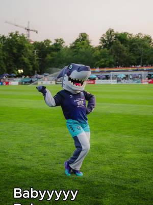 It's Shark Day!🦈 And this shark loves to dance.
