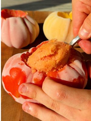 Two Ingredient Tomato Sorbet was the obvious next evolution of the melon trend. A must try! #Recipe #cooking #easydessert #tomatoes 
