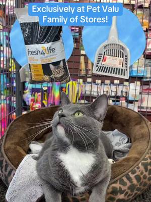 Fresh 4 Life Odour Destroyer Litter + Essentials Litter Scoop = The ultimate clean kitty combo😺💙   Plus, the Essentials Litter Scoop is currently ONLY $3 for the July item of the month! Shop here: https://www.petvalu.ca/collection/totm