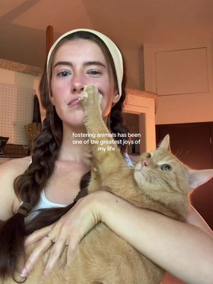 I know I can always count on @PetSmart to help with my revolving door of foster pets that enter my home @PetSmart Charities® #petsmartpartner #AnythingForPets #Ad