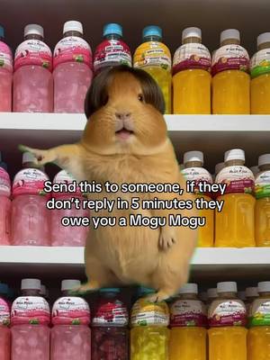 Looks like a Mogu Mogu is coming your way 🤪 #mogumogu 
