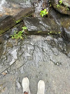 Go outside #fyp #nature #waterfalls 