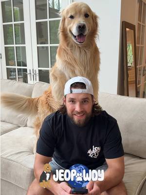 Turns out Drake may know more than we do, unless it’s about cats… and in that case we all need to check out the @ZoetisPetcare breed explorer tool 🙈 If your family loves a little friendly competition & think they know it all, put their pet breed knowledge to the test and play Zoetis Jeopawdy! Link is in our bio.