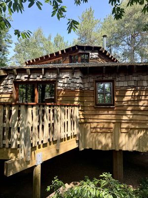 We used to ride our bikes every year to go see the treehouses and wondered what they looked like inside.. cannot believe how gorgeous it is 😍 #treehouse #treehouses #centreparcs #fyp 
