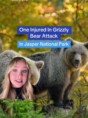 One injured in grizzly bear attack in Jasper National Park🐻🎙️-@olga🌟 #grizzlybear #calgary #alberta #jasper #jaspernationalpark 
