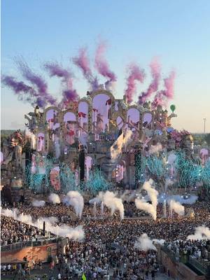 The moment everyone’s been waiting for; Consciencia MainStage #tomorrowland #electronicmusic #festival 
