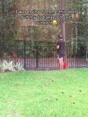 Classic Dad move😂 #deer #comedy #dadsoftiktok #animallover #xyzbca 