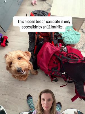 A rewarding overnight backpacking trip just outside Vancouver. 🥾🏕️ (and our first one of the year) Half Moon Beach in Golden Ears Provincial Park is a beautiful riverside campground that’s only accessible by hiking in, making it feel like a real adventure. Trail details: 🥾 Distance: 22 km return (11 km each way) ⛰️ Elevation gain: 400m 🐶 Dog-friendly (dogs are welcome on and off leash!) A few things to know before you go: • The trail has some steep sections, fallen trees to climb over, and a few overgrown areas, so come prepared for a bit of a challenge. I did a lot of crawling under trees etc.  • You’ll need to reserve a backcountry camping permit through BC Parks before your trip.  • Pack everything you’ll need for the night and remember to follow Leave No Trace principles. Have you backpacked to Half Moon Beach before, or is it on your BC bucket list? Our camping dessert: @yvrcookie  #vancouverinfluencer #canadianbloggers #backpackingtrip 