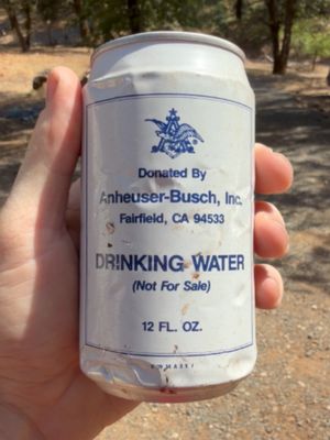 beer water