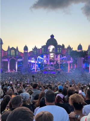 From left to right @Dimitri Vegas b2b @Timmy Trumpet #tomorrowland #festival #electronicmusic 