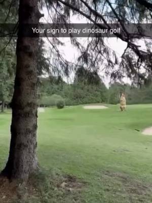 Imagine seeing this on the course #golf #golfer #golfcourse