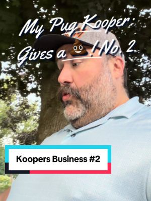 💩 My Pug Kooper Gives a 💩 — Episode 2 Today's deposit? 🏭 An AI data center. Never-ending noise. Drinks all the water. Wrecks the environment. Public money somehow becomes billionaire money. Who's a good boy? Kooper. Good PooPoo, Kooper. Bad news for the rest of us. What should he poop out next? 👇 #StandUpComedy #Pug #AI #DataCenter #Comedy