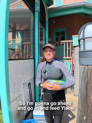 Ever wonder what a day in the life of an animal care specialist looks like? In honor of National Zookeeper Week, we're taking you behind the scenes with the incredible teams who care for the animals you love. We're kicking things off with Alyssa at Dolphin Stadium, where the team's day might include caring for sloths, feeding our newest dolphin calf, working with pilot whales, and making sure every animal receives world-class care. It's a lot of hard work, plenty of heart, and no two days are ever the same. 🐬🦥
