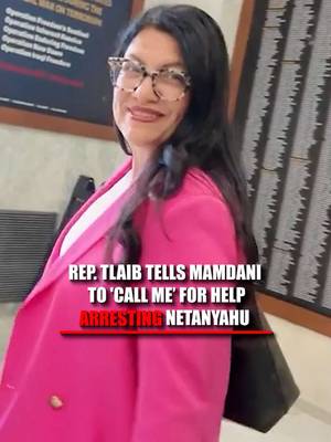 "If he needs help, tell him to call me." Rashida Tlaib tells Fox News Digital, that Zohran Mamdani should arrest Israeli PM Benjamin Netanyahu over the ICC warrant and for being a "war criminal." Tlaib goes on to say that if the New York City mayor needs help arresting Netanyahu, he should "call me." The comments come as the Democratic Party remains divided over Mamdani's campaign pledge to bring in Netanyahu, with the mayor even admitting he does not have the legal authority to carry it out.