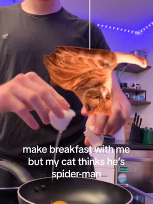 as long as he doesn’t forget me he can do whatever he wants #spiderman #spidermanbrandnewday #trending #catsoftiktok