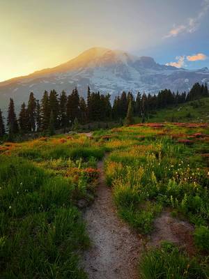 Sunsets under Mt. Rainier 🏔️
