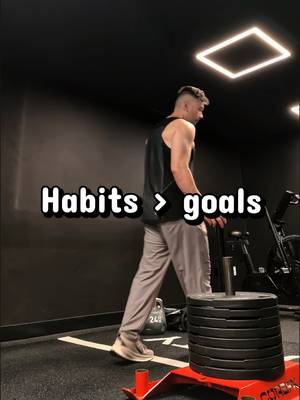 Habits actions that will get you to your goals.  build Systems, keep at it.  #dailyworkout #habits 