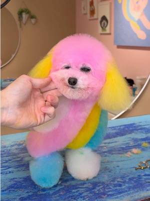 Twisted marshmallow! . Design created by @Gabe #dogs #doggrooming 