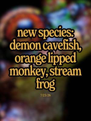 Earth’s latest update unlocked 3 new species: a demon cave fish named after the demogorgon, a monkey that sounds like a pig, and a beautiful stream-breeding frog… what’s gonna drop in the next update? 👀