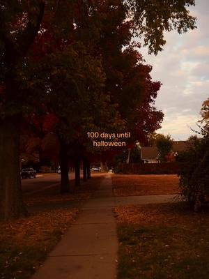 happy 100 days until halloween 🎃 • this is my second most favorite day is the year - feels like the countdown really starts today!  • • • • #halloweencountdown #halloweentok #halloweenaesthetic #cozyhalloween #halloween2026 