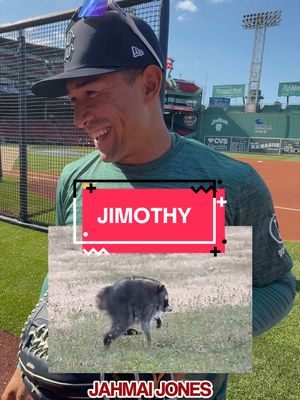 How could you not know Jimothy?!? 🦝 #MLB #redsox #baseball #fenwaypark #jimothy 