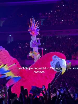 Papacito, ay qué rico tú #chicagogram #karlog #chicagoconcert #tropitour #soliderfield 
