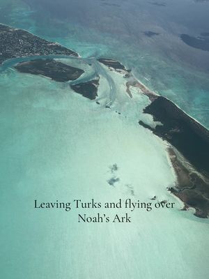 Enjoy it… it’s a party every day 🥹 #noahsarktci #turksandcaicos