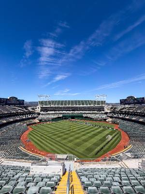 100/10 view.   #OaklandFirstAlways