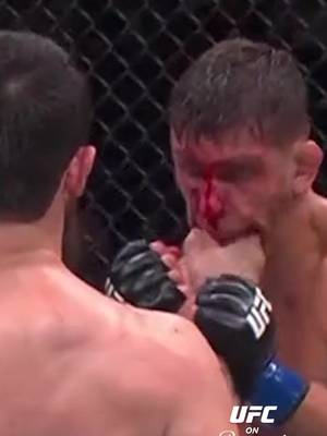 Chanko 😳 #UFC #MMA #UFCAbuDhabi #Chanko #magomedzaynukov 