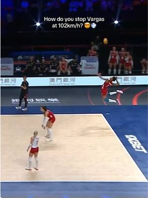 Vargas takes over the finals 😳🇹🇷 #volleyball #volleyballworld #VNL26 #türkiye #vargas 