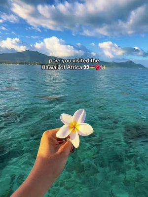 your sign to visit…🇲🇺👀 an island where waterfalls, mountains, and the ocean all come together 🦋a french african version of hawaii 🤪 SAVE these places to visit 👇🌺✨ 🏝️Le Morne Beach  🥾Le Morne Hike 🌴Flic en Flac beach  🤿Trou Aux Biches beach  💦Chamarel Waterfall  🥾Le Pouce Trail  follow @monicaroams for more travel inspiration and adventures✨ #mauritius #visitmauritius #mauritiustravel #africa #islandlife 