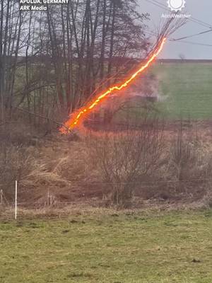 A tree caught fire after falling onto a live power line during a storm in Germany. The flames appeared to pulse with each surge of electricity through the line.