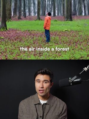 Spending time in a forest measurably strengthens your immune system, and this immunologist spent years proving it.  In one study, he sent twelve men on a three-day forest trip doing just slow easy walks, then checked their blood. Their natural killer cells, the ones that fight cancer and infections, surged about 50 percent.  The boost was still there a month later, and a group that walked through a city instead saw nothing.  The likely reason is phytoncides, compounds trees release to protect themselves that seem to fire up our immune system too.  Li's research suggests a walk in the woods once a month may be enough to keep those defenses elevated year-round. DOI: 10.1007/s12199-008-0068-3