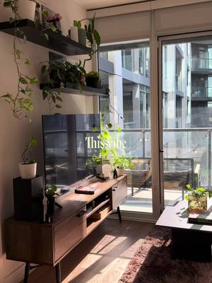 This really is the vibe😌 #cozyhome #interiordesign #homeinspo #homedecor #houseplants 