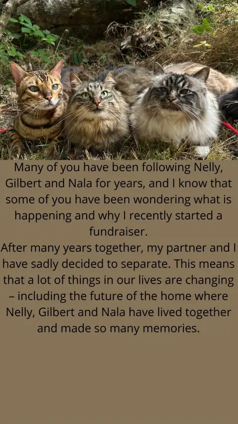 Thank you all for taking time to read this. For those who wants to support our journey there is a link to the GofundMe in the comments ♥️ again thank you, it means the world to us!