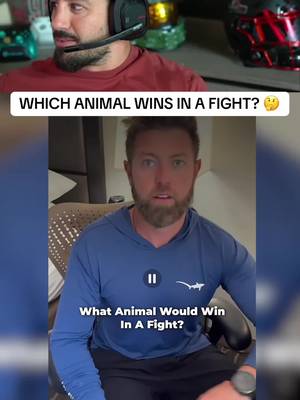 WHICH ANIMAL WINS IN A FIGHT? 🤔
