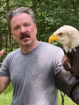 I fulfilled my dream of holding a bald eagle! With adequate warnings and paperwork, I was was able to hold Minco, their rescued bald eagle. He fell out of his nest as an eaglet, and was rehabbed back to health. But, he ended up imprinting too much on humans and doesn’t want to hunt for himself. So, he’s here, living a good life, at Raptor Hallow, and trying to devise the best way to eat me! #RaptorRescue #BaldEagle #Eagle #RaptorHallow #ZanesWorld @RaptorHallowSanctuary 