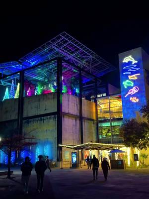 ✨ One of Charleston’s most anticipated holiday events is back! The South Carolina Aquarium has officially announced the dates for Aquarium Aglow, returning November 20 through December 31. Experience the aquarium after dark with thousands of twinkling lights, larger-than-life holiday displays, festive food and drinks, Scuba Claus, and unforgettable family fun in the heart of downtown Charleston. 🐠🎄 🎟️ Tickets go on sale this September, so now’s the time to start planning your holiday season. Aquarium Aglow is one of the most popular Christmas events in Charleston, making it a perfect outing for families, couples, friends, and visitors looking for festive things to do in the Lowcountry.