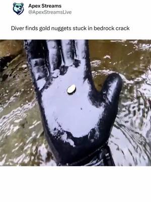 Ethan Brooks, 41, stumbled onto an unexpected discovery while diving a remote stretch of the Jefferson River this week, uncovering several natural gold nuggets lodged deep inside a crack in the bedrock. Brooks said the glimmer caught his attention during what he described as a routine dive, leading to one of the most memorable finds of his life.