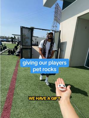 training camp rocks 🪨 #petrock #nfl #trainingcamp #chargers 