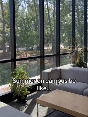 #nipissingu #Summer #campus #campuslife #sunshine 