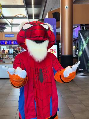 SPIDER-PAWS: BRAND NEW DAY COMING SOON 🕷️🕸️🐯 #spiderman #spidermanbrandnewday 