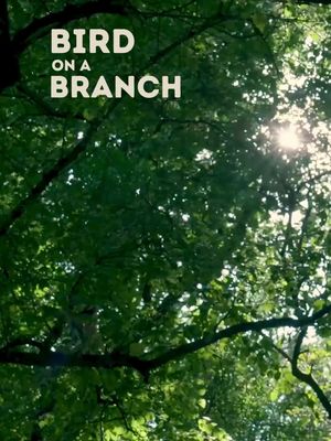 🕊️ As promised: Bird on a Branch is officially live. This is the intro. The 'why' behind everything you're about to hear: a space to trace things back to the root, the patterns most of us carry without ever naming them. I'm not showing up with it all figured out. I'm showing up as someone who's walked through some of the hardest chapters life can hand you — and found a way to transmute that pain into purpose. Lived experience, professional training, intuition. All three belong here. The first three episodes are ready for you. New ones drop every Thursday. This is just the beginning. 🤍 🎧 Links in bio. Go feel it for yourself. #birdonabranch #vitaltreasures #podcastlaunch #newpodcastalert #traumahealing #nervoussystemregulation #selftrust #HealingJourney