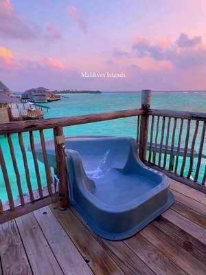The Maldives Islands 📞 #vacation #travel #maldives 
