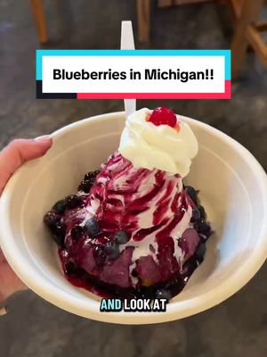 🚨It’s blueberry season in Michigan!! 🫐 and there’s no better time to shop local and support your farmers. U-pick is such a core childhood memory for me so I always recommend it, but if you’re short on time you can even just buy pre-picked from your local farm, market, or even look in stores at places like Meijer for boxes that say picked in Michigan USA!  S Kamphuis Blueberry Farm is the cutest little hidden gem farm in Holland, MI! I will never stop talking about their homemade blueberry soft serve made with their own blueberries and their blueberry donuts and coffee 😍 Plus they have the cutest gift shop with all things blueberry. And to make it even more special the farm has been in their family for 5 generations and is woman-ran by Amy!  Where’s your favorite place to pick blueberries? I need to make a list!  #michigan #michiganfarms #blueberryseason #michiganag  Where to pick blueberries in Michigan | blueberry season | Michigan blueberry farm | cute blueberry cafe | shop local Michigan farms 