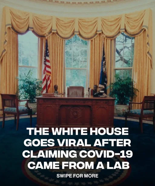 The White House is going viral after posting a webpage that says COVID-19 most likely came from a laboratory in Wuhan, China. The post went live during Dr. Anthony Fauci's Senate hearing and linked to the White House's "Lab Leak: The True Origins of COVID-19" webpage. The page says the virus most likely started after a laboratory incident at the Wuhan Institute of Virology and argues that the lab leak theory was true. 📸: GETTY  #whitehouse #covid #government #lab