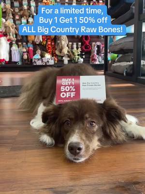 For a limited time, buy 1 get 1 50% on ALL Big Country Raw bones! Chewing can be a great de-stressor and distraction for your dogs, and make a great addition to our 50th Anniversary pawrty bowl 🦴 Which one will you try?