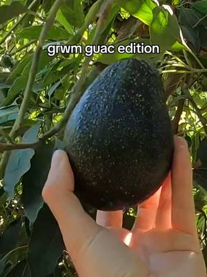 take the farm to-go 🤌 celebrate national avocado day with free chips & guac 7/31-8/1 when u grab any entrée entrée purchase required. use code AVO2026 73126-8/1/26 only, on Chipotle website or mobile app only. see full terms: chipotle.com/avocado-day